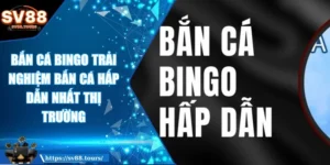 Bắn cá bingo